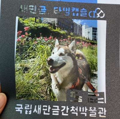 어린이날 교육 프로그램 <새만금 타임캡슐 열어볼 사람!>_ 나의 타임캡슐 섬네일 파일